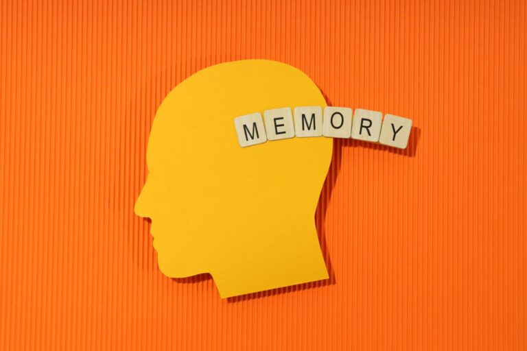 Estrategias y técnicas de memorización para opositores
