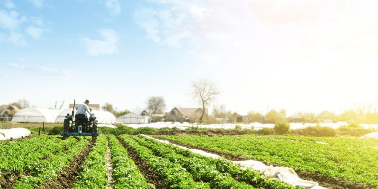 El Ministerio de Agricultura, Pesca y Alimentación ha convocado un proceso selectivo para cubrir 32 plazas