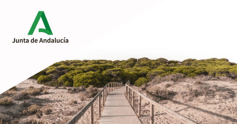Calendario de días inhábiles en Andalucía a efectos de cómputos de plazos administrativos en 2023
